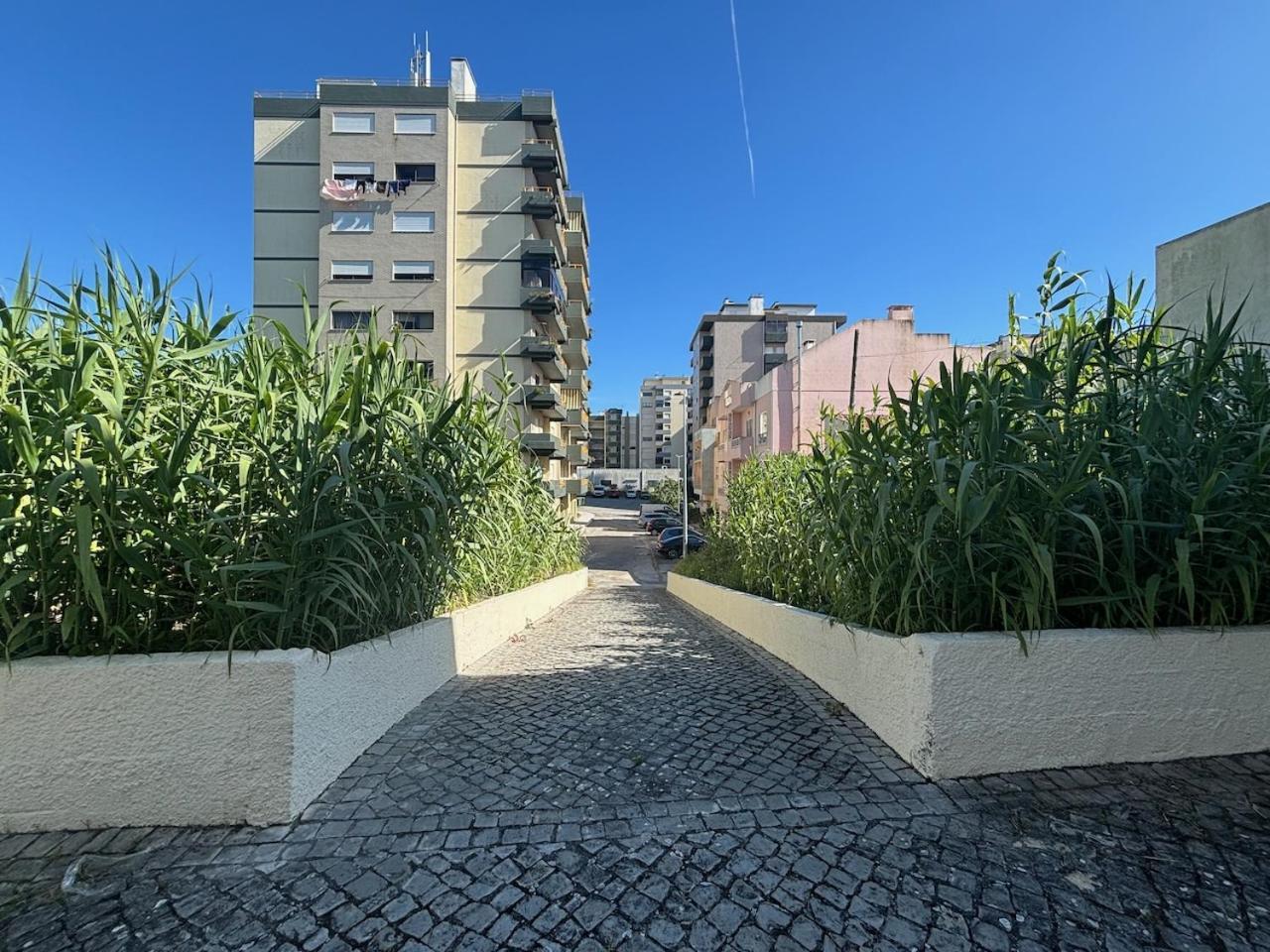 Rosario - Two Bedroom Apart- Buarcos - Figueira Da Foz Exterior foto